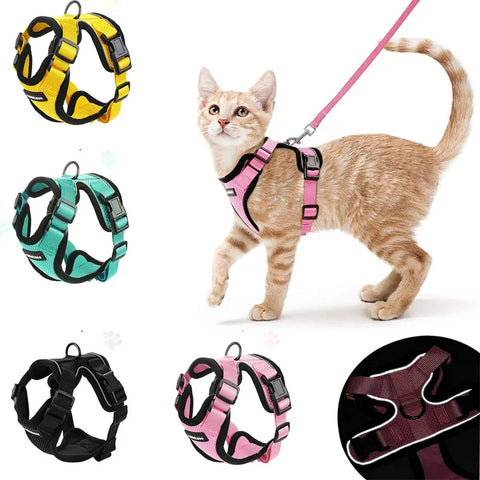 Small Cat Harness and Leash Set